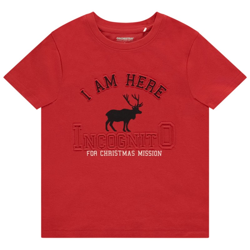 T-shirt uni avec print reine de Noël pour garçon