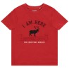 T-shirt uni avec print reine de Noël pour garçon