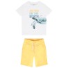 Ensemble 2 pièces print tortue pour garçon