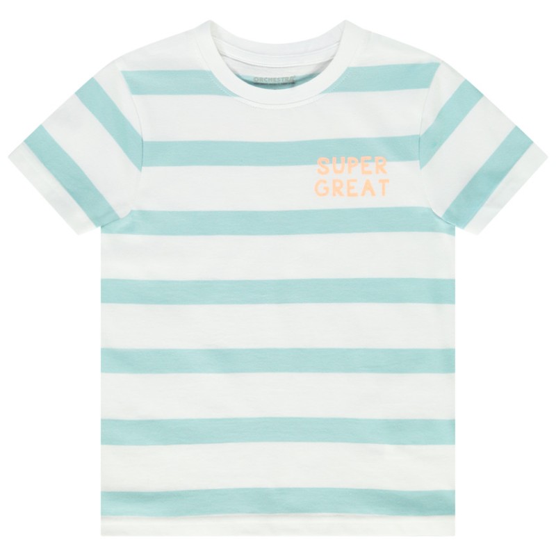 T-shirt manches courtes rayé print fantaisie pour garçon