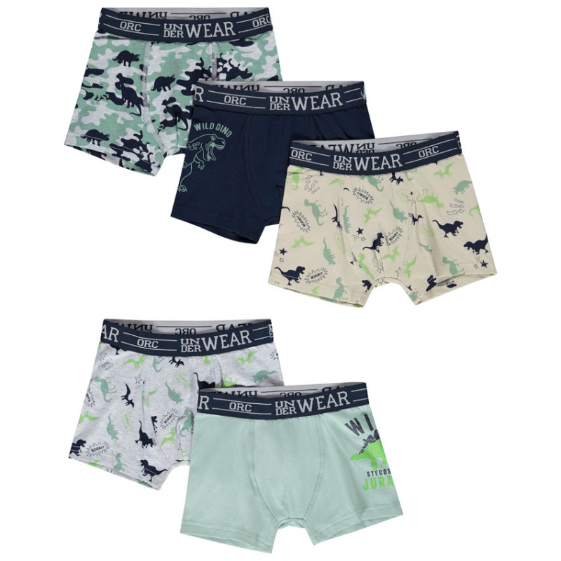 Lot de 5 boxers motifs Wild Dinos garçon