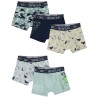 Lot de 5 boxers motifs Wild Dinos garçon