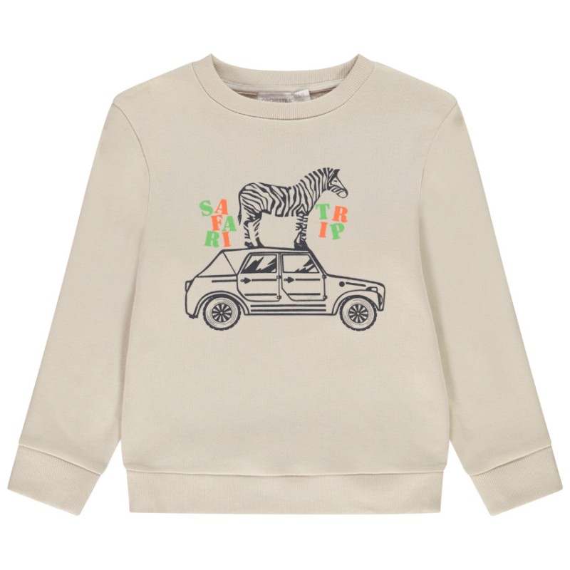 Sweat en molleton print fantaisie pour garçon