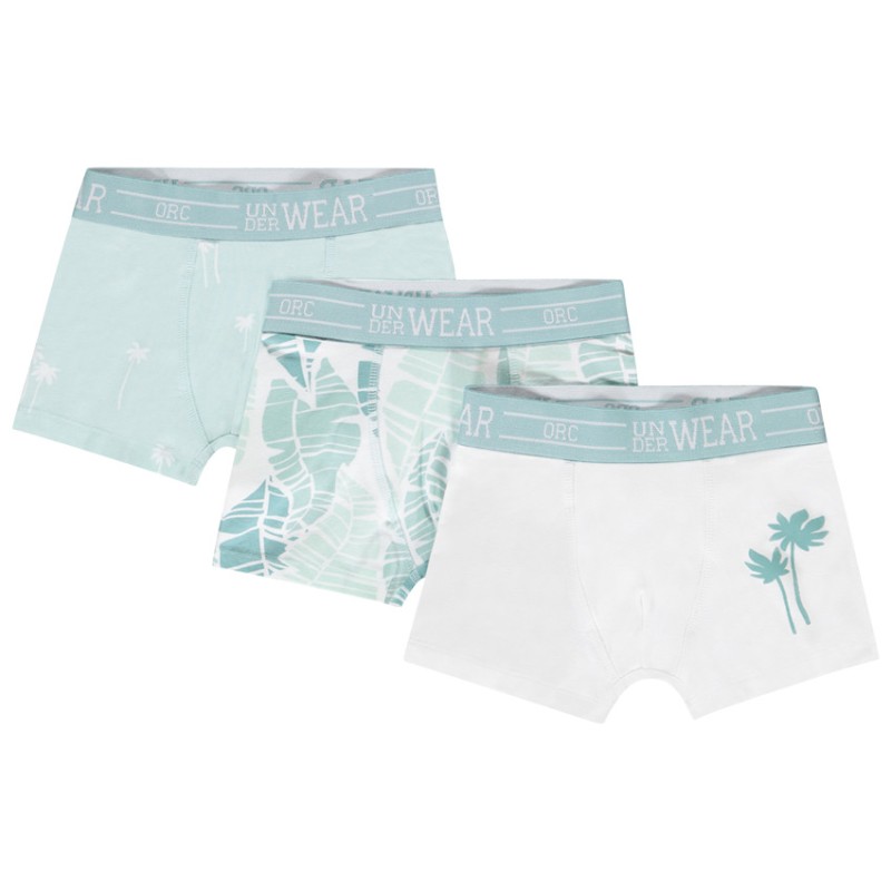 Lot de 3 boxers motifs palmiers garçon