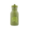 Gourde en acier inoxydable Mr. Dino 350ml