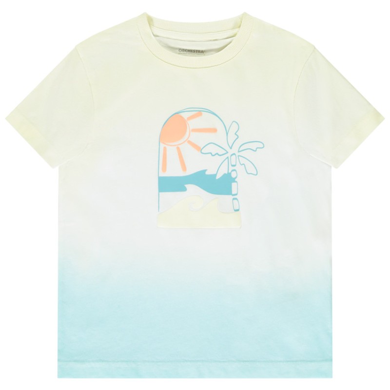 T-shirt manches courtes printé effet dégradé garçon