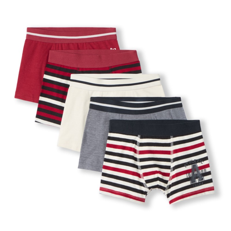 Lot de 5 boxers rayés et unis garçon