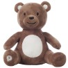 Ours en peluche