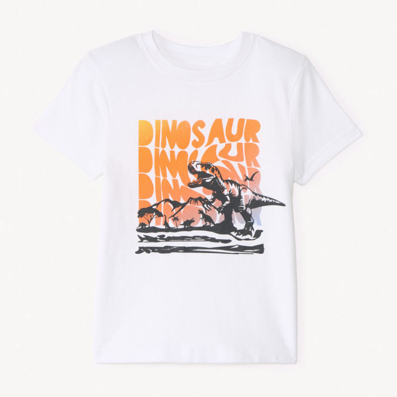 T-shirt manches courtes print fantaisie pour garçon