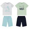 Lot de 2 pyjamas courts prints fantaisie garçon