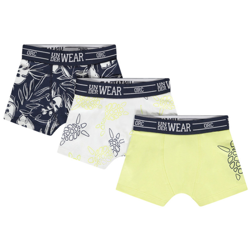 Lot de 3 boxers motifs tortues marines garçon