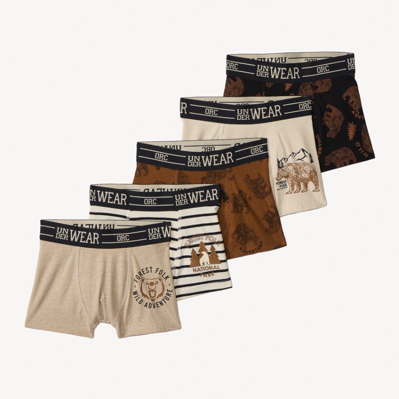 Lot de 5 boxers Bear fantaisie garçon