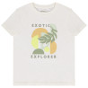 T-shirt manches courtes fantaisie avec broderie pour garçon