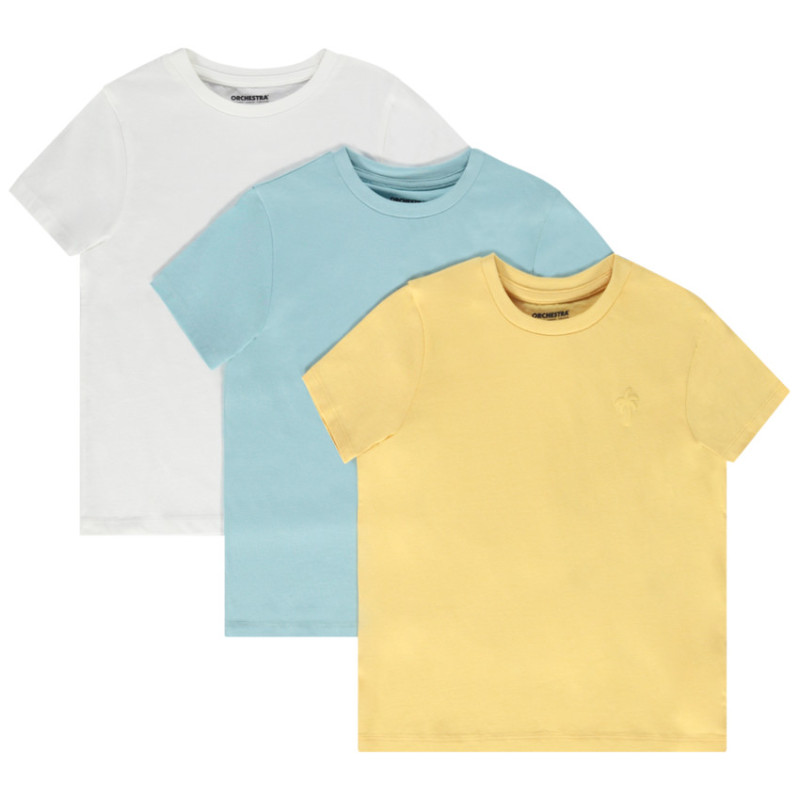 Lot de 3 t-shirts manches courtes print palmier garçon