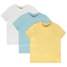 Lot de 3 t-shirts manches courtes print palmier garçon