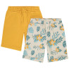 Lot de 2 bermudas fantaisie en molleton garçon