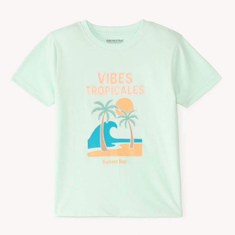 T-shirt manches courtes uni print estival fantaisie garçon