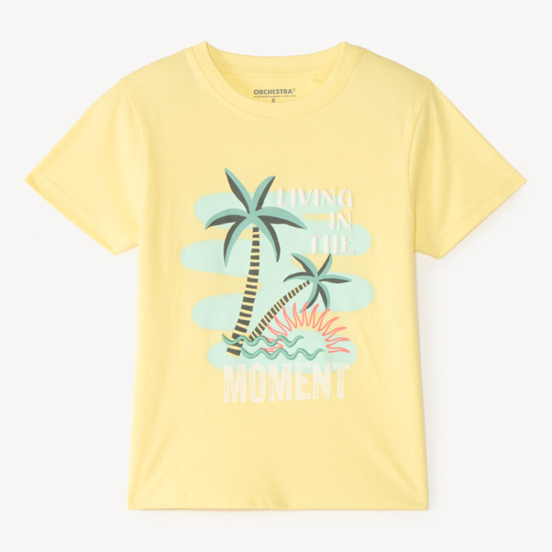 T-shirt manches courtes print fantaisie palmier garçon