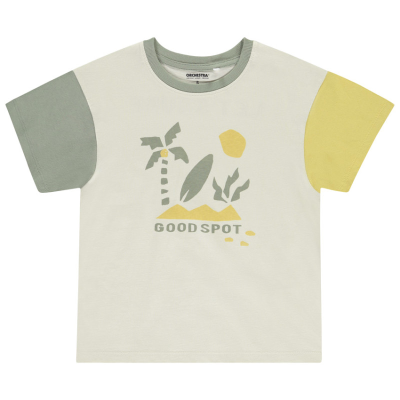 T-shirt manches courtes effet color block printé garçon