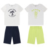 Lot de 2 pyjamas 2 pièces en jersey garçon
