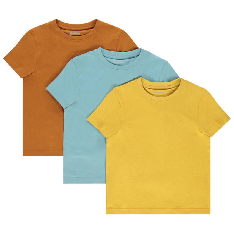 Lot de 3 t-shirts manches courtes print palmier garçon