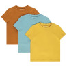 Lot de 3 t-shirts manches courtes print palmier garçon