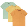 Lot de 3 t-shirts manches courtes print palmier garçon