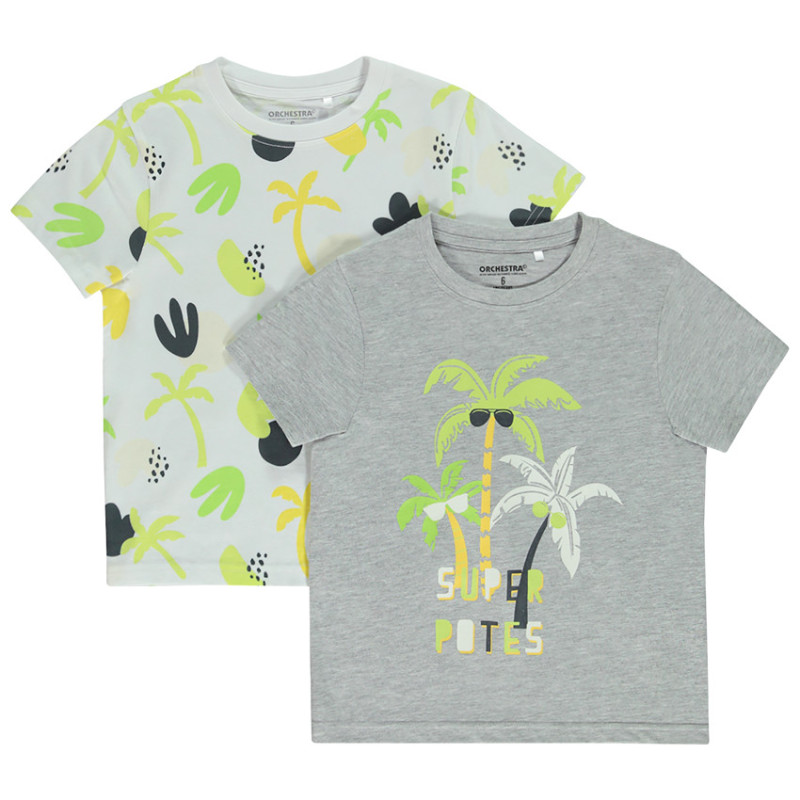 Lot de 2 t-shirts manches courtes motifs palmiers garçon